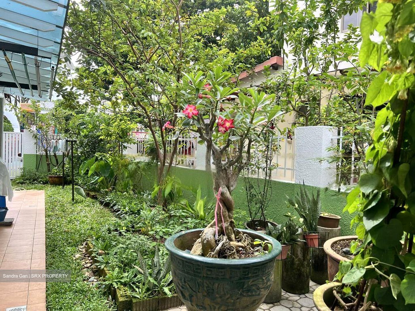 Camelia Park (D28), Semi-Detached #466809541